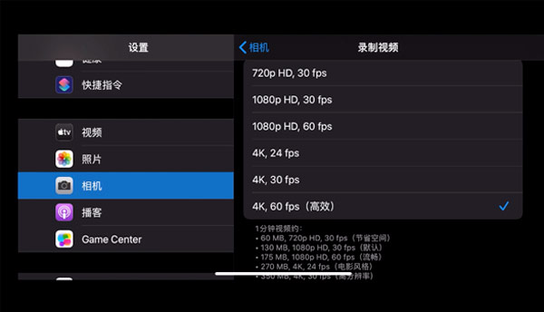 Phone Video Setting