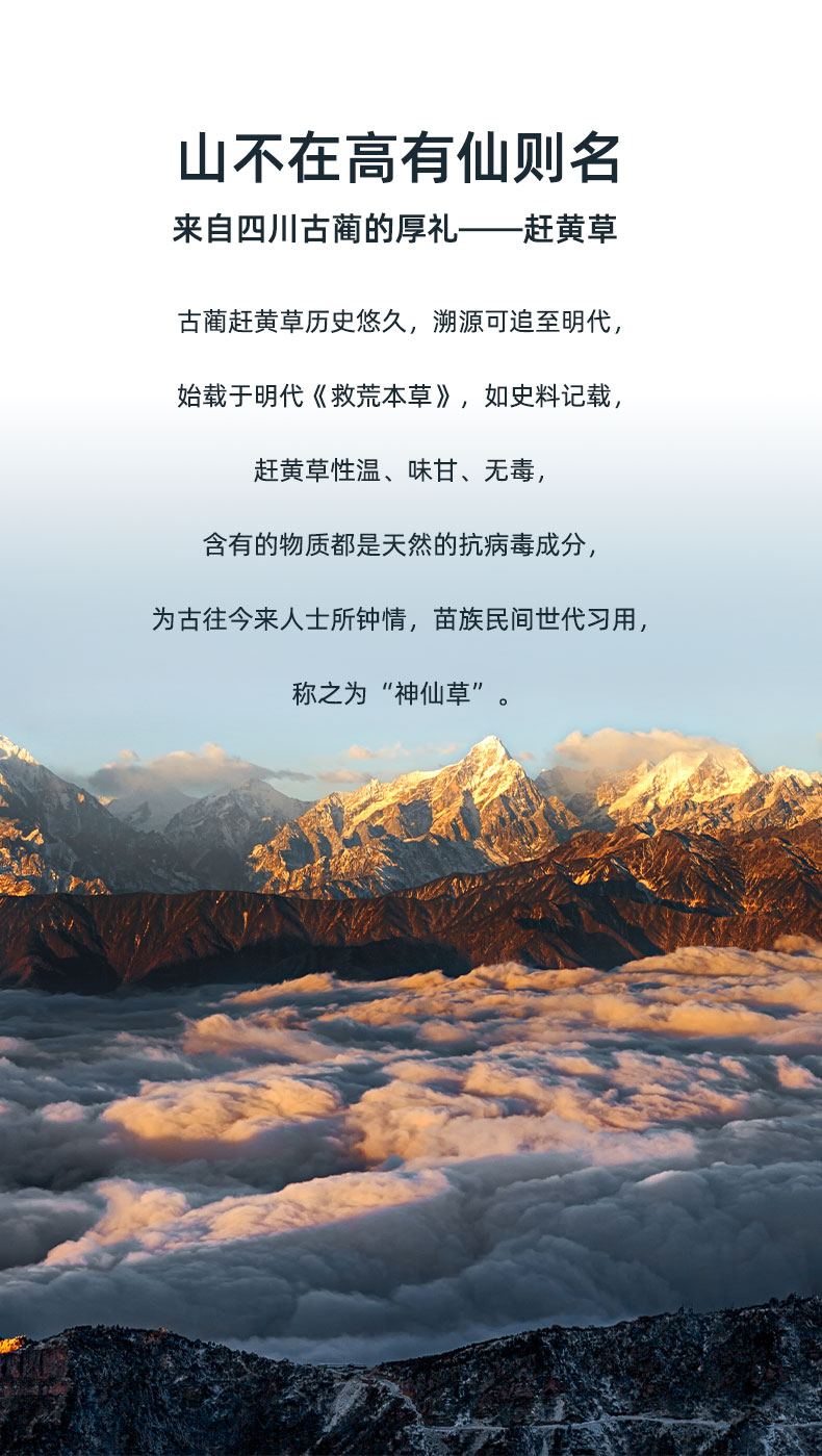 赶黄草详情页面设计(京东众筹页面设计)