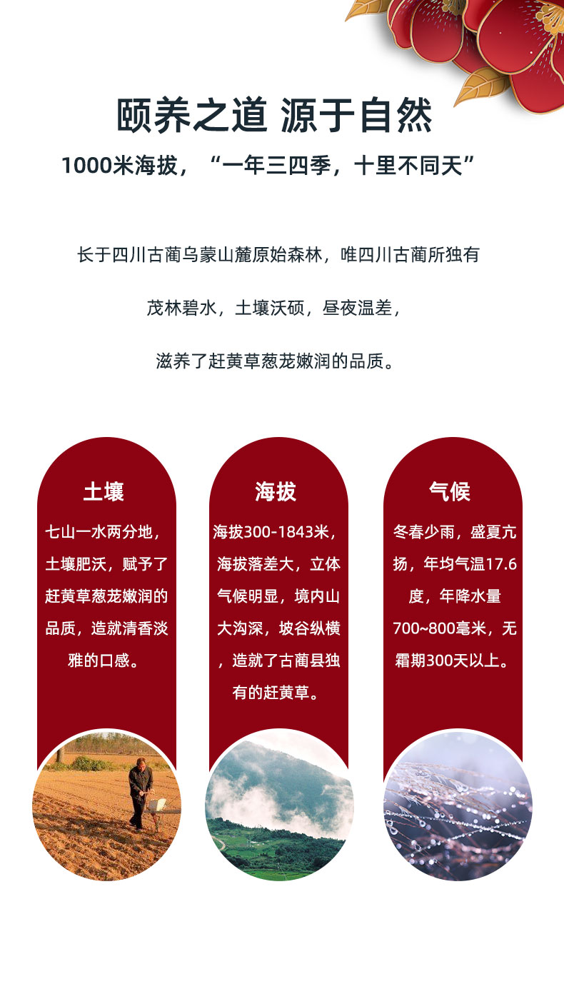 赶黄草详情页面设计(京东众筹页面设计)