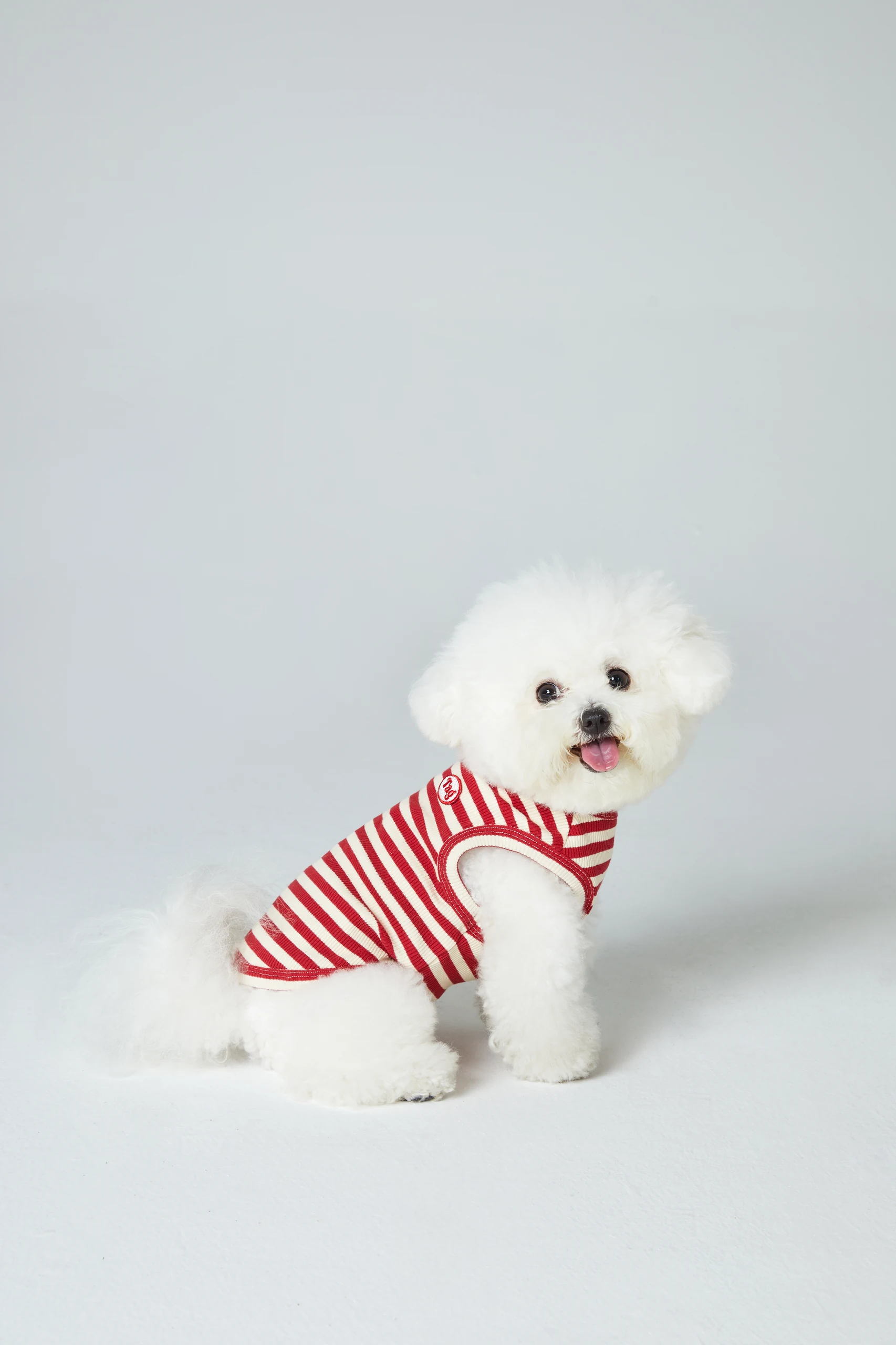 Dog Clothing on White Backgrounds