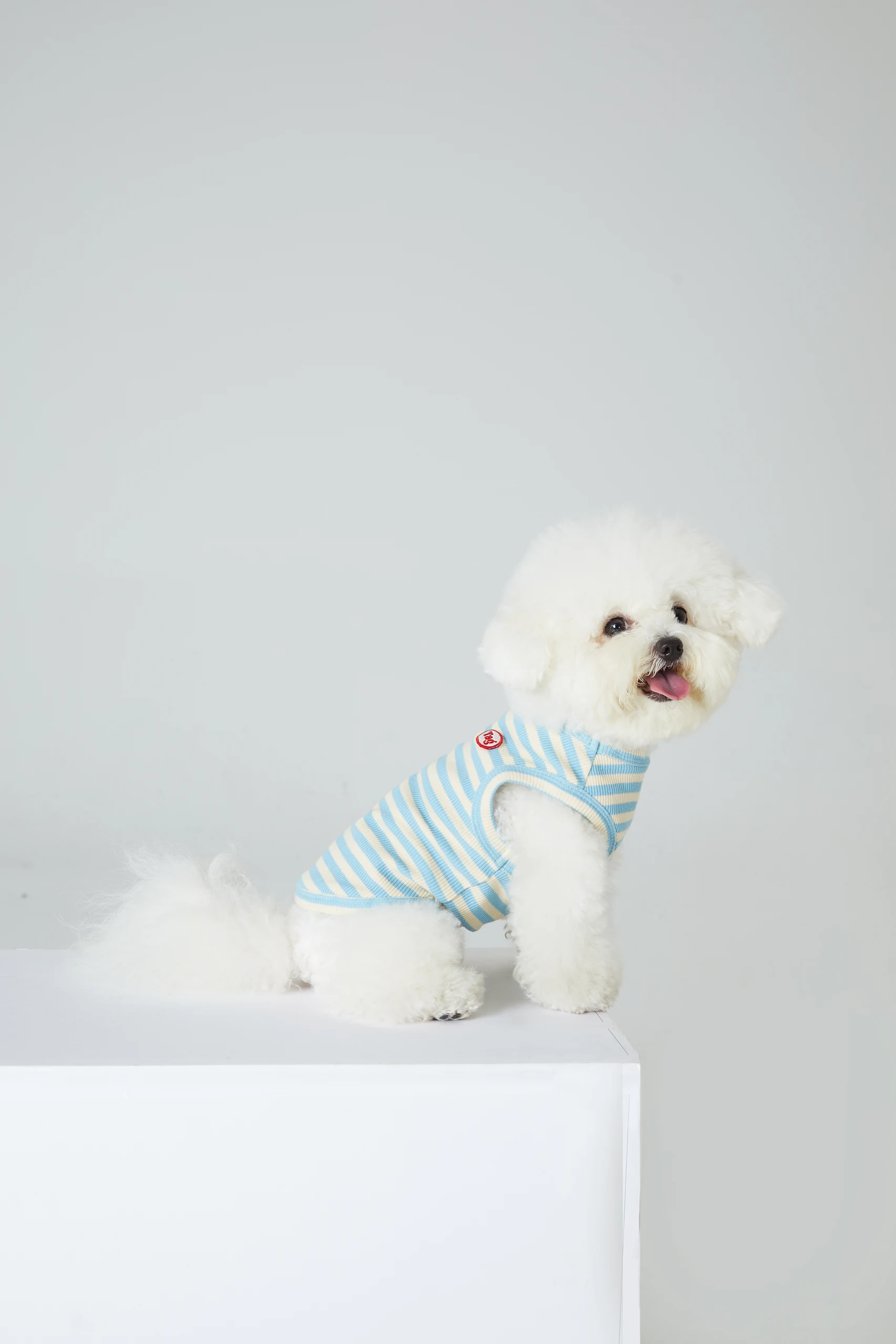 Dog Clothing on White Backgrounds