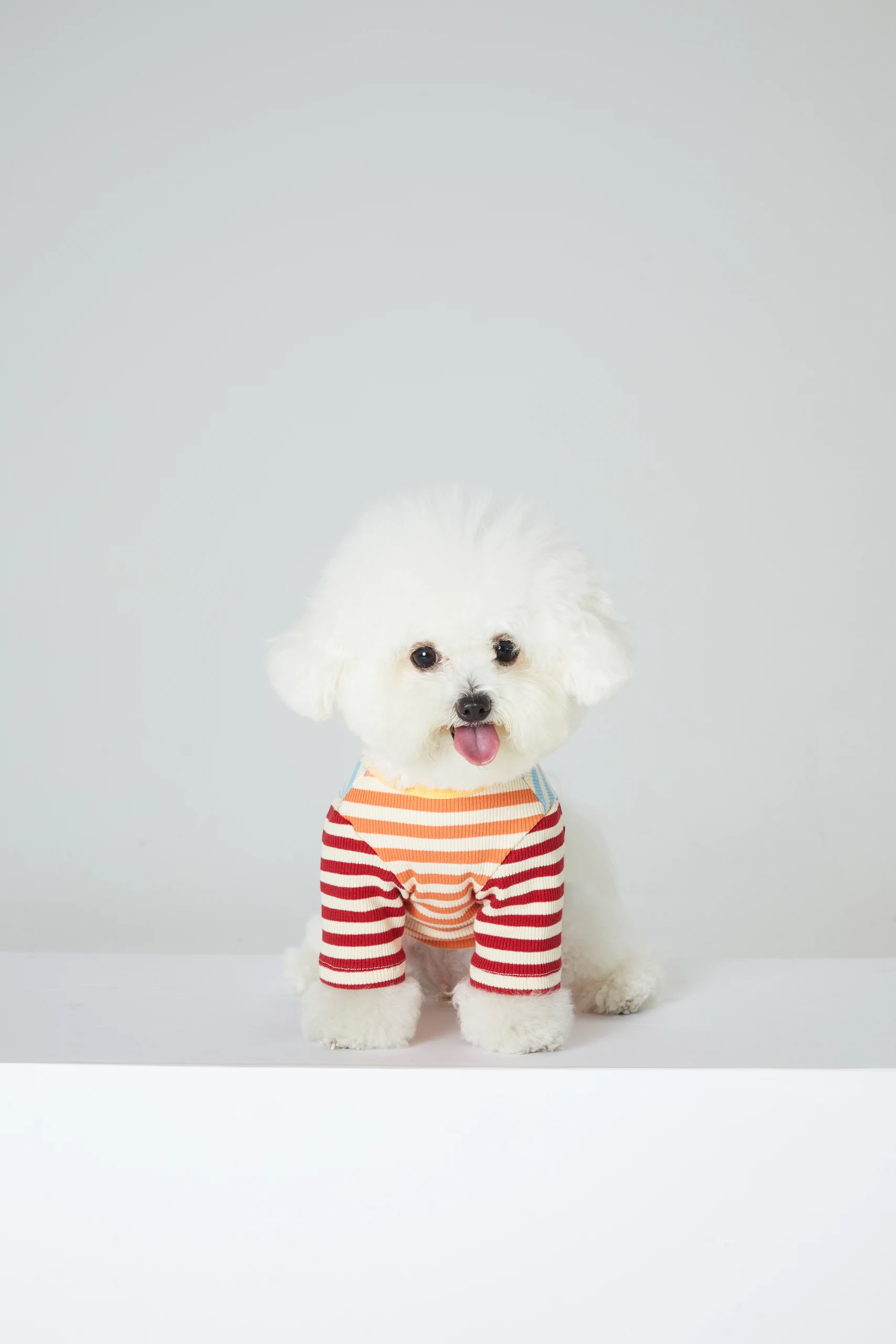 Dog Clothing on White Backgrounds