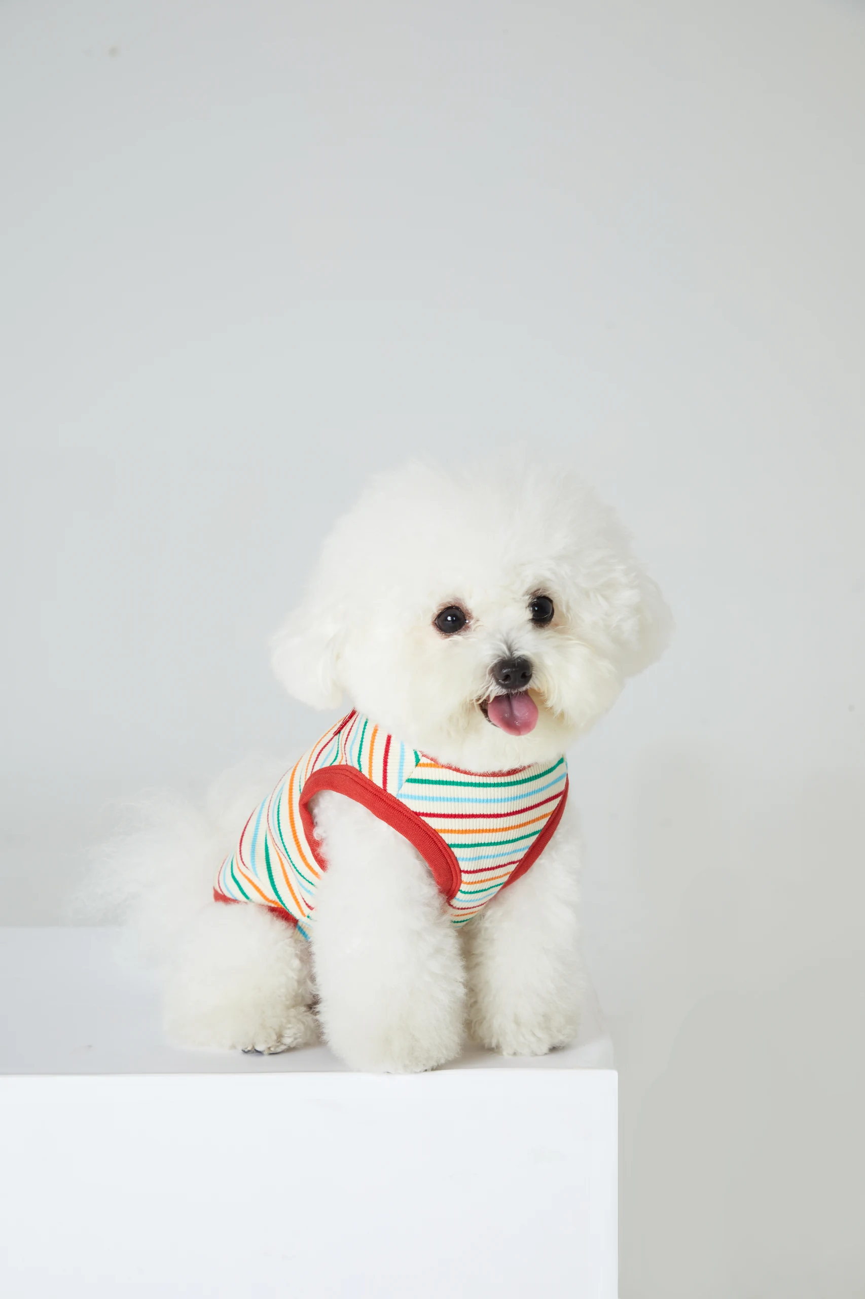 Dog Clothing on White Backgrounds