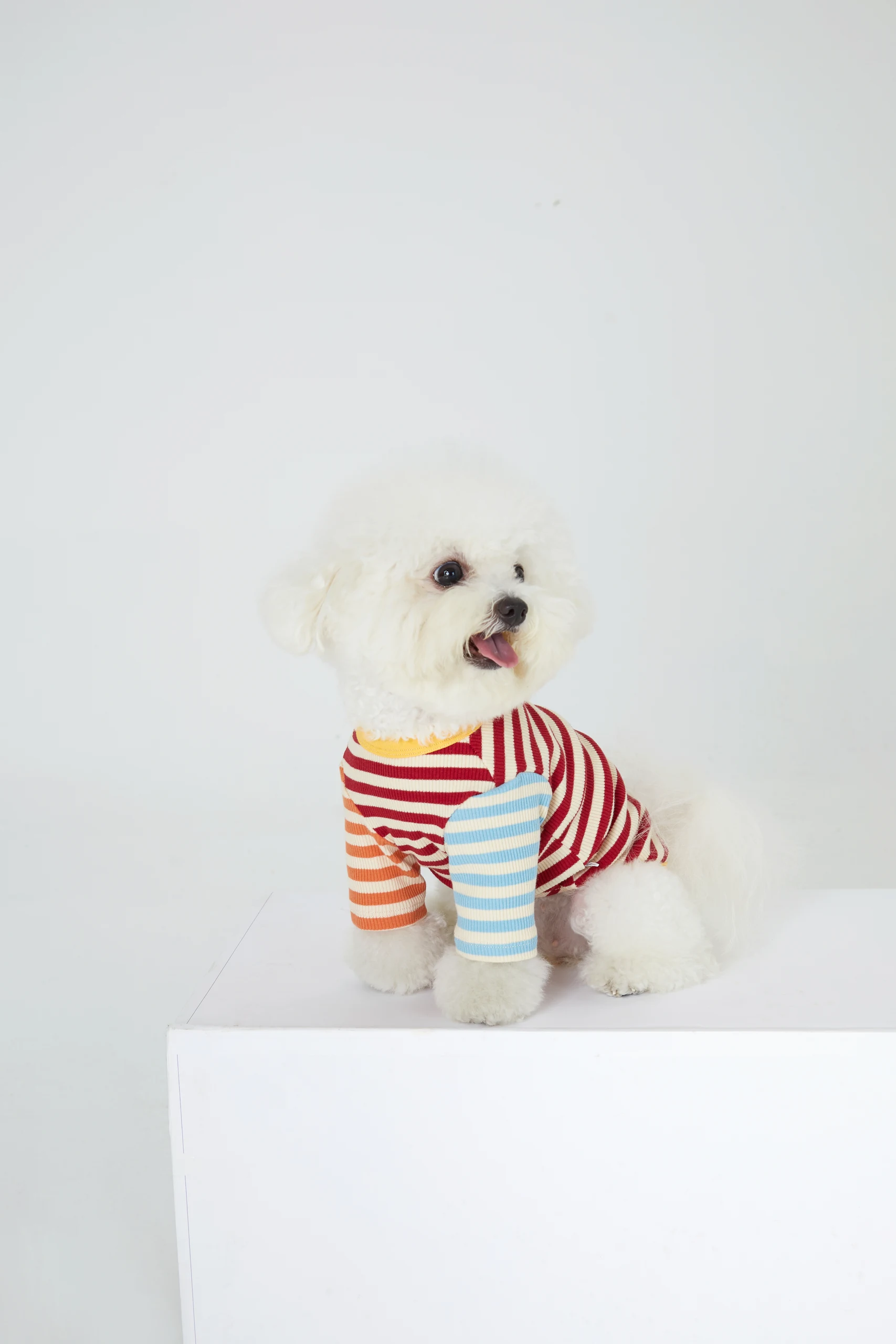 Dog Clothing on White Backgrounds