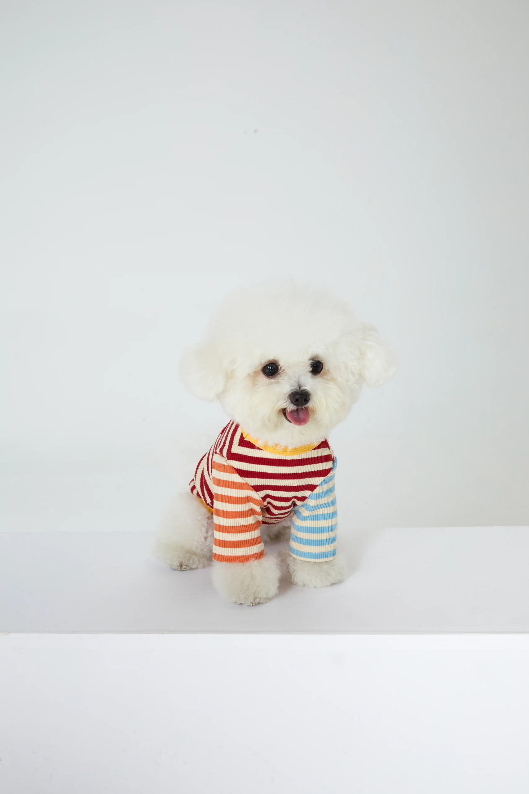 Dog Clothing on White Backgrounds