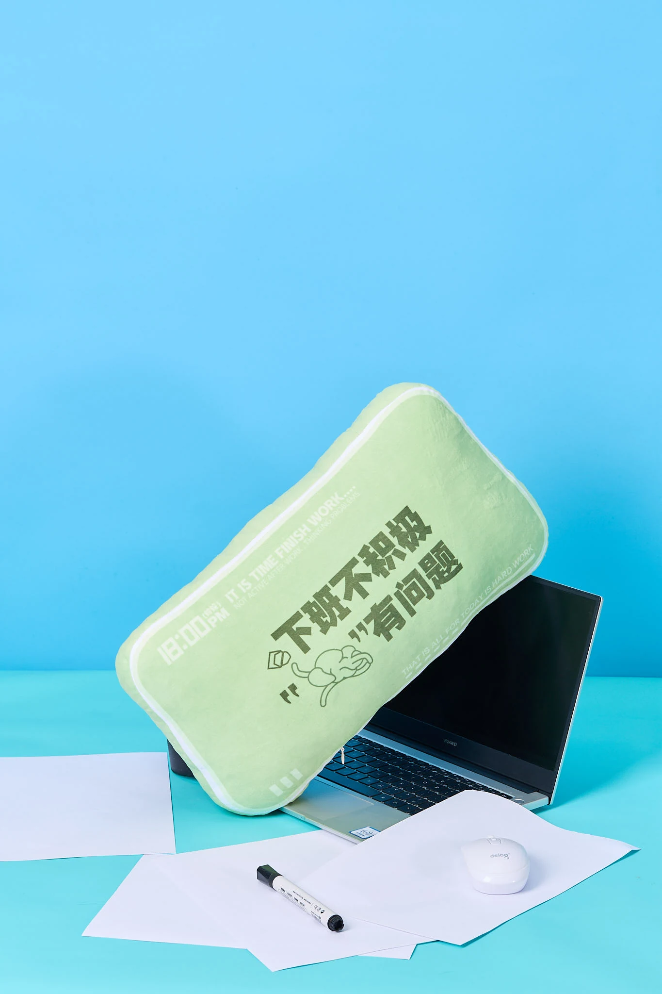 趣味造型抱枕彩色摄影