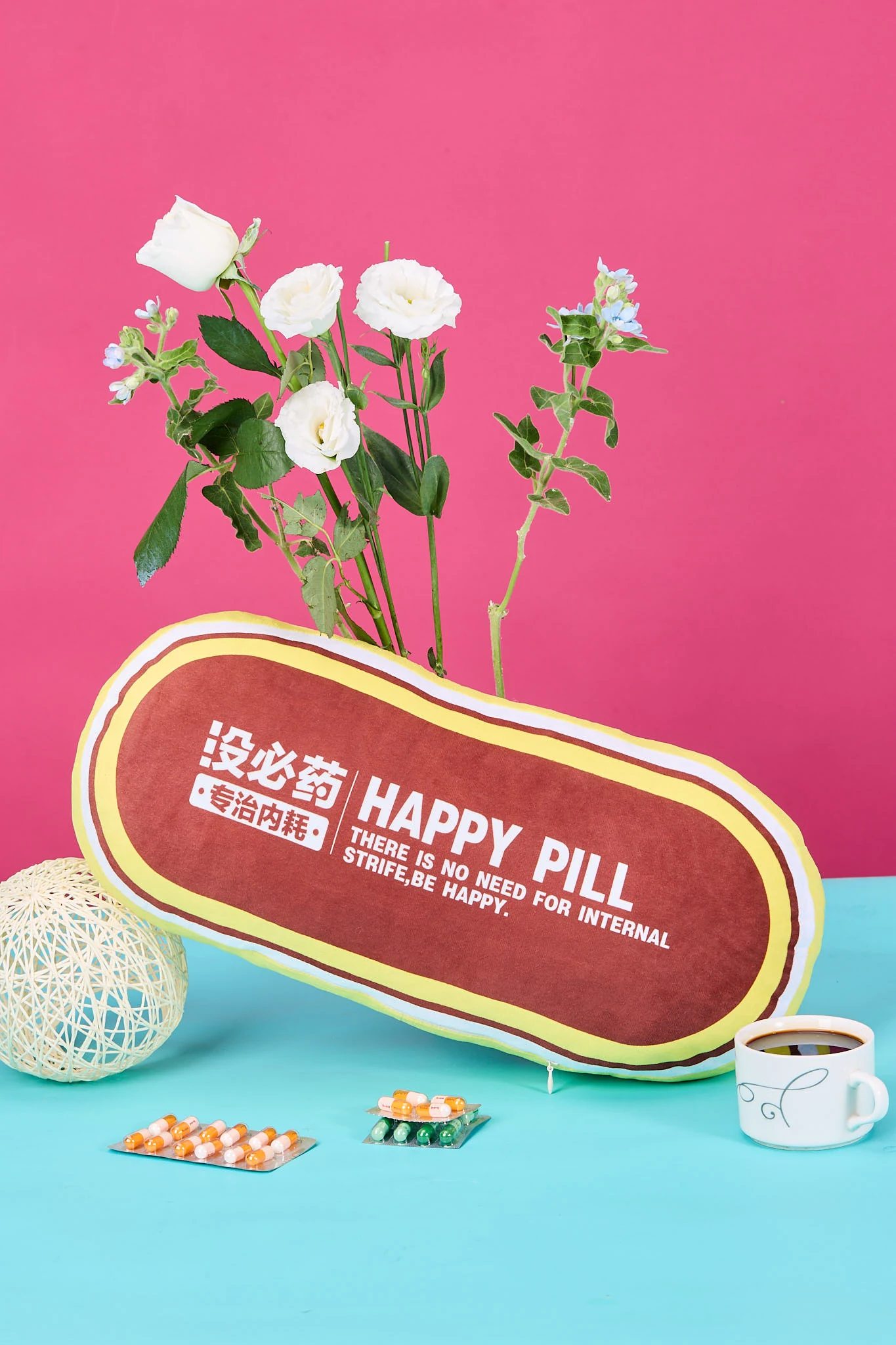 趣味造型抱枕彩色摄影