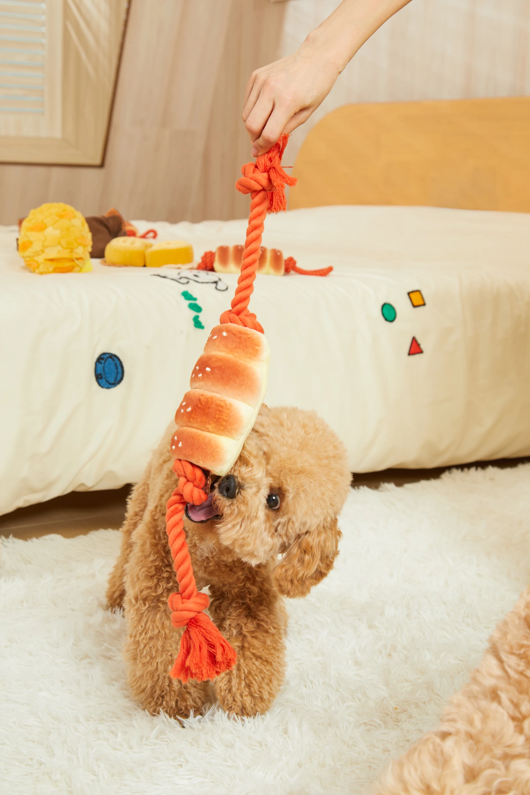 Pet Toys in Home Settings