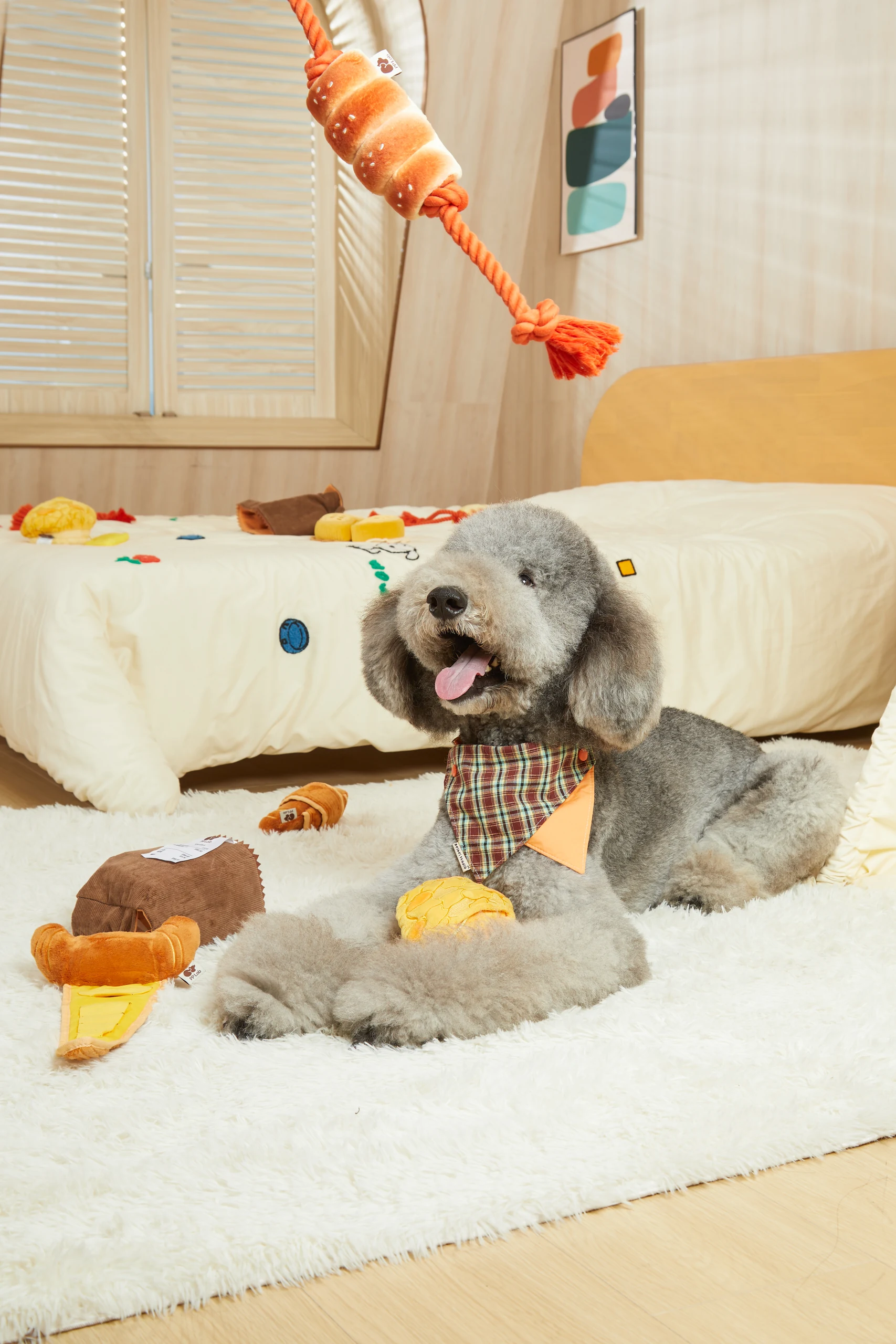 Pet Toys in Home Settings