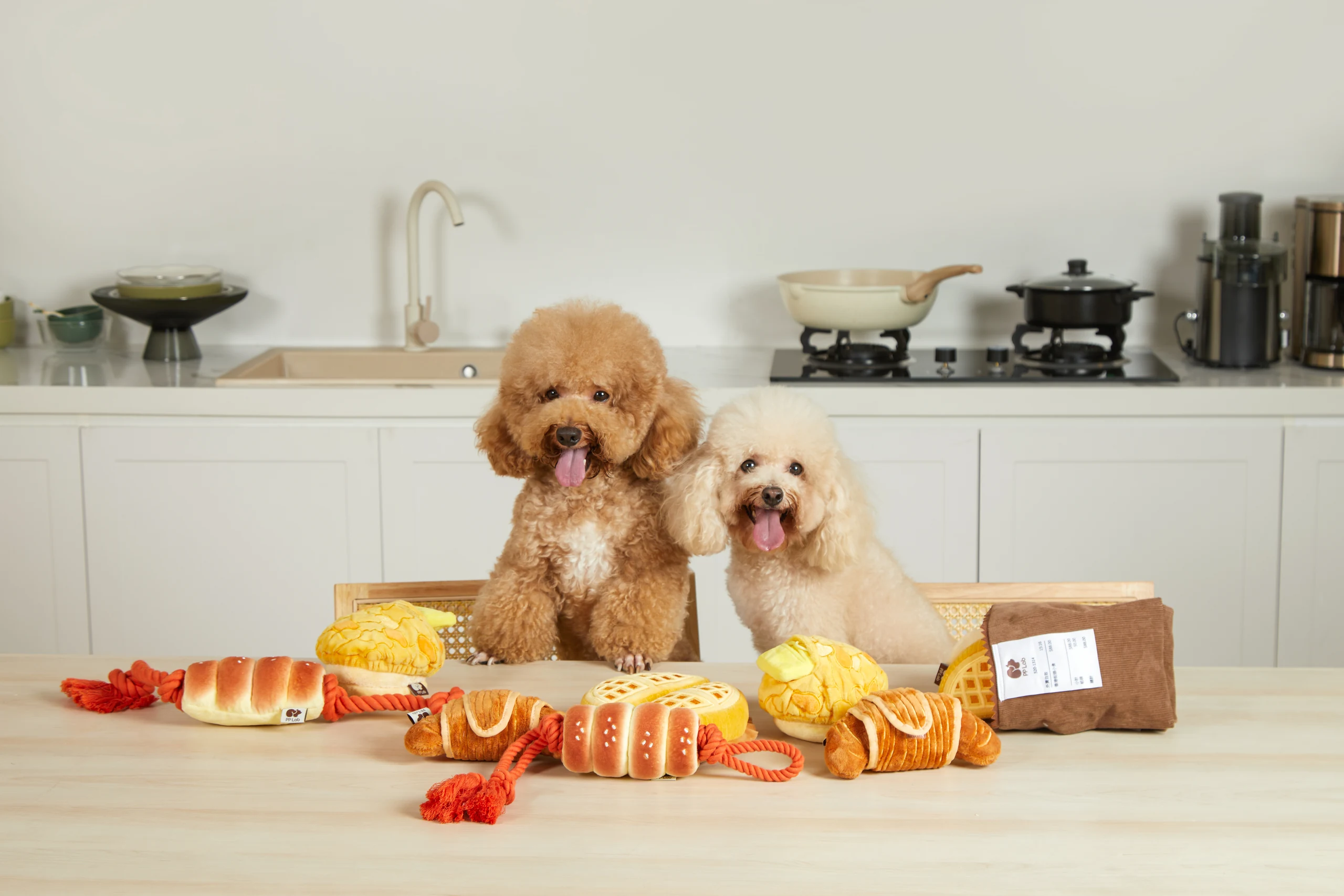Pet Toys in Home Settings