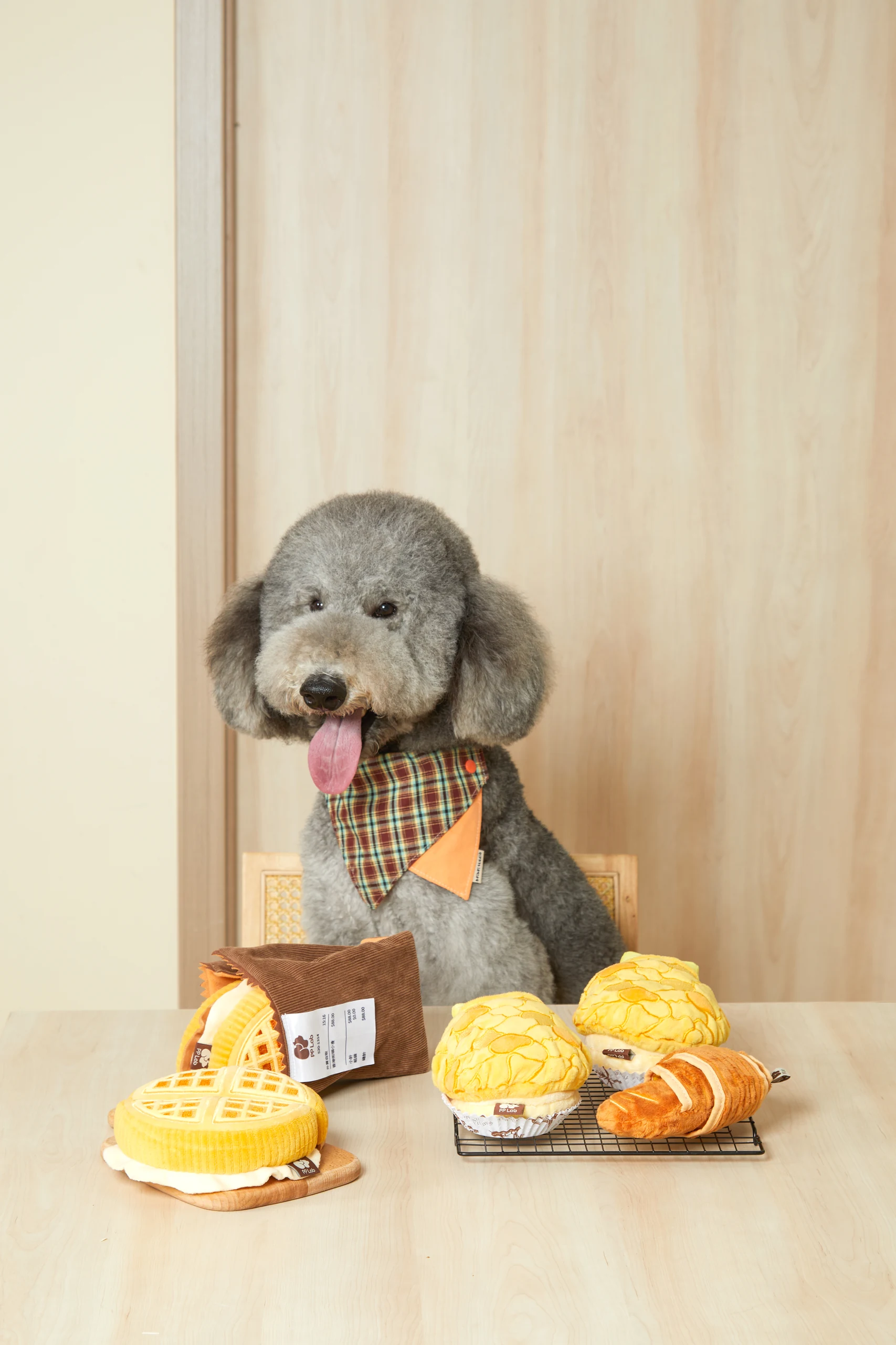 Pet Toys in Home Settings
